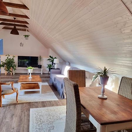 Apartman U Stef Borotice Экстерьер фото