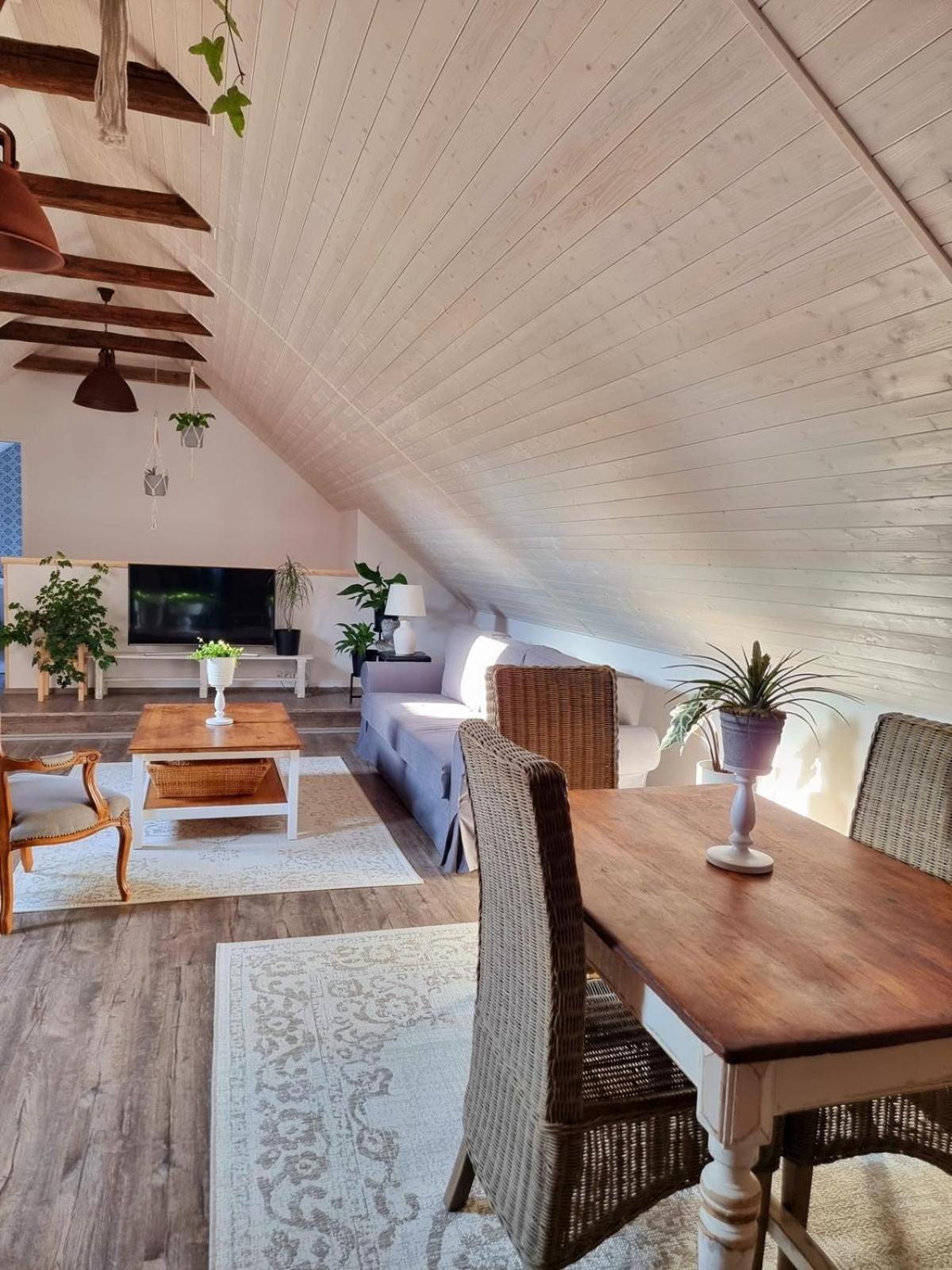 Apartman U Stef Borotice Экстерьер фото