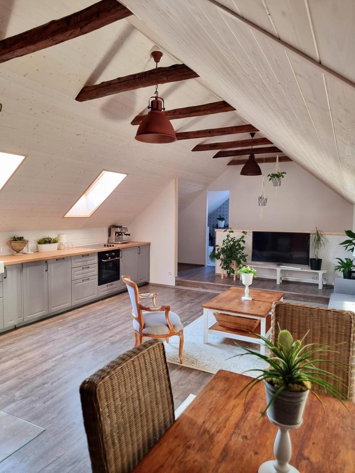 Apartman U Stef Borotice Экстерьер фото