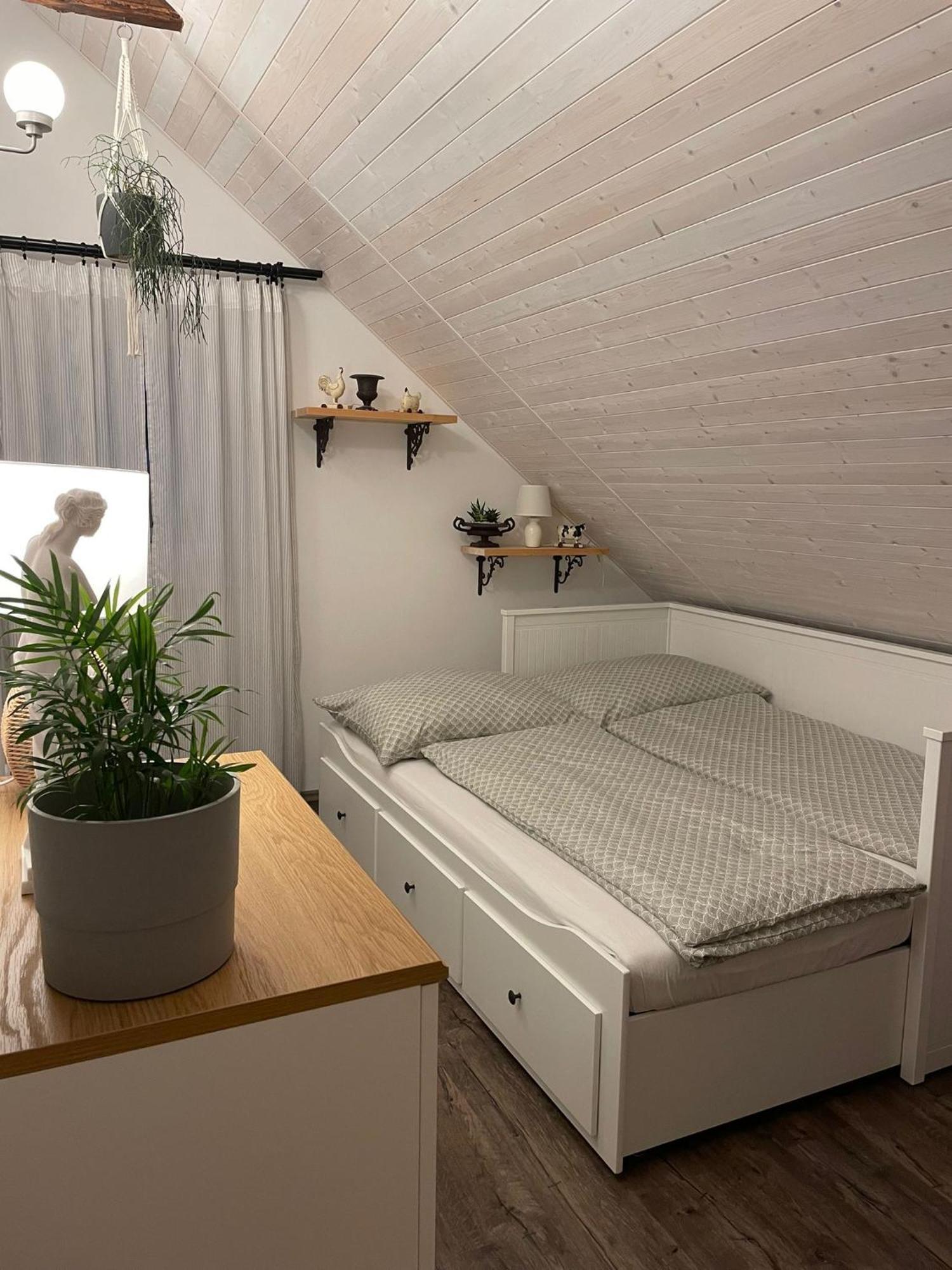 Apartman U Stef Borotice Экстерьер фото