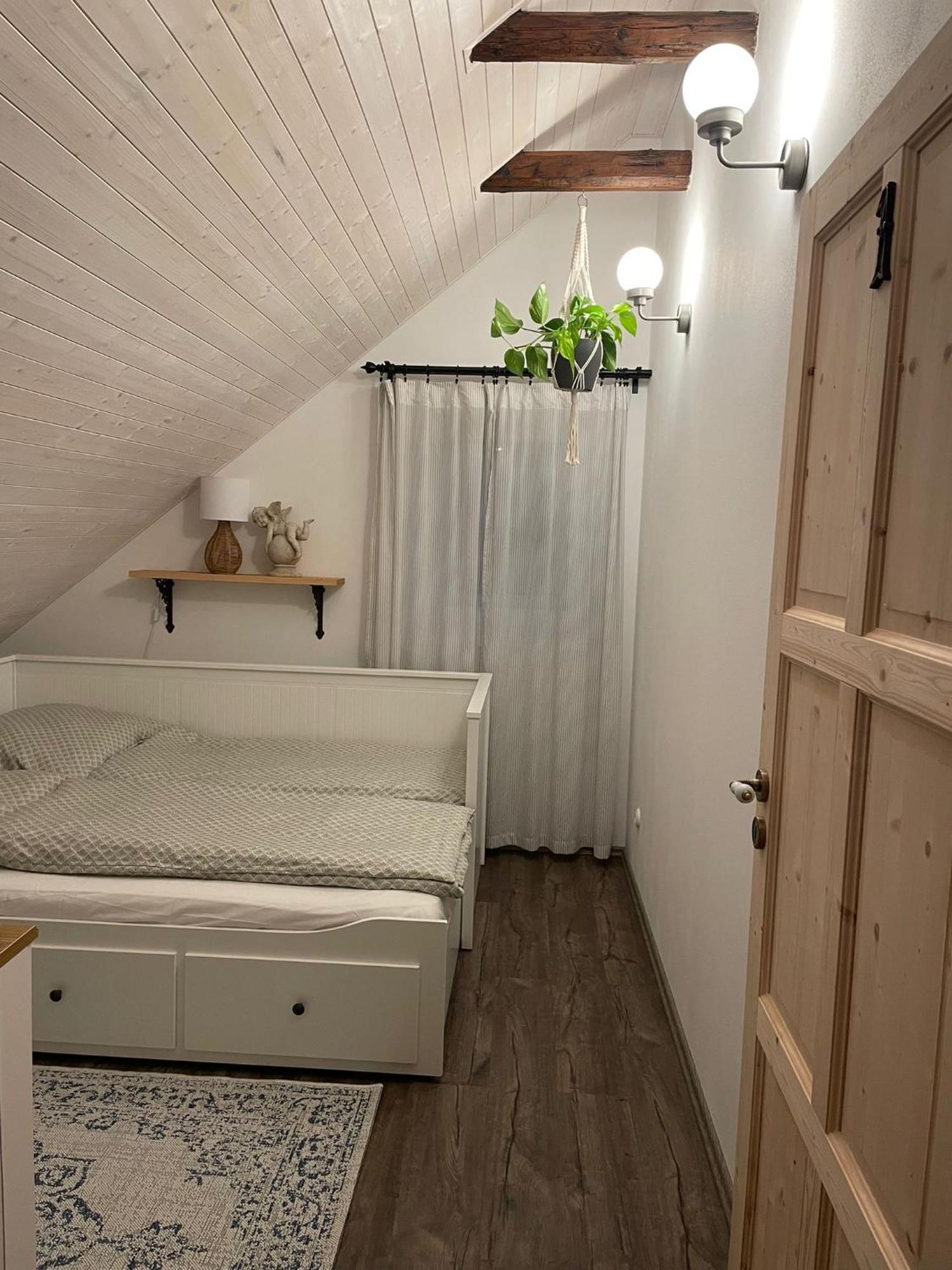 Apartman U Stef Borotice Экстерьер фото